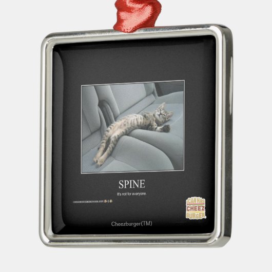 Rug Metalen Ornament (Links)