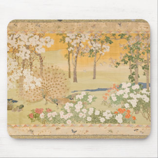 Rug Muismat