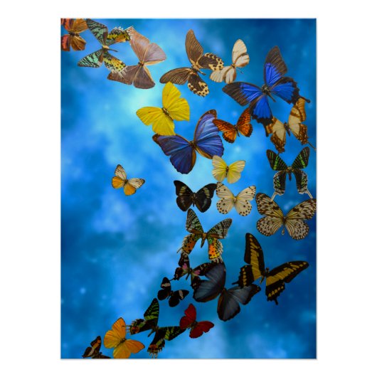 Rug Perfect Poster (Voorkant)