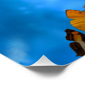 Rug Perfect Poster (Hoek)