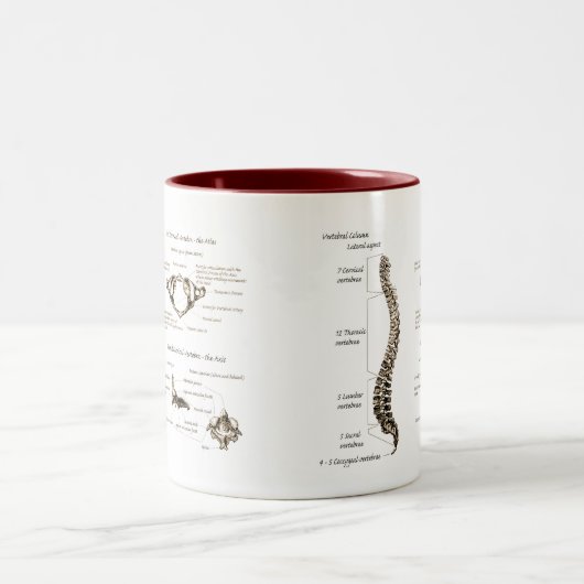 Rug Tweekleurige Koffiemok (Center)