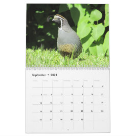 Rug Yard Birds!  Bird Watcher CALENDAR Kalender