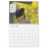 Rug Yard Birds!  Bird Watcher CALENDAR Kalender (Mar 2026)