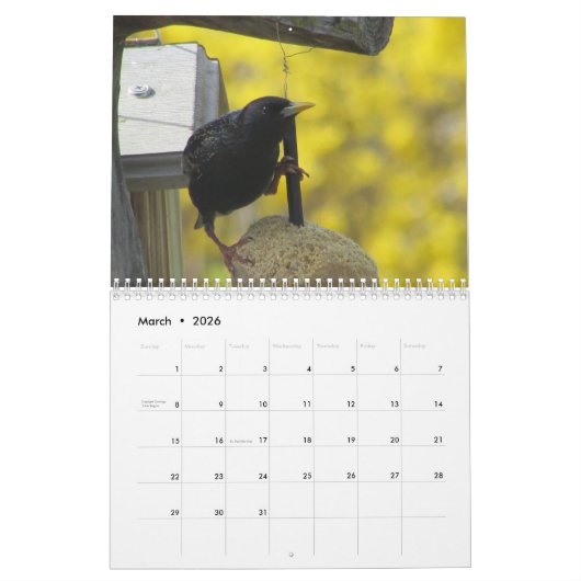 Rug Yard Birds!  Bird Watcher CALENDAR Kalender (Mar 2026)