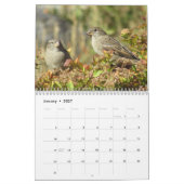 Rug Yard Birds!  Bird Watcher CALENDAR Kalender (Jan 2027)