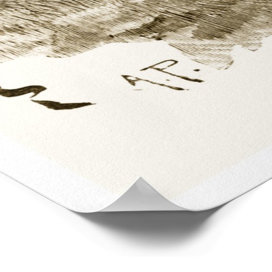  Rugby - Archiefafdrukken Poster (Hoek)