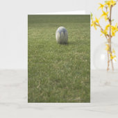 Rugby ball kaart (Gele Bloem)
