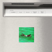 Rugby fridge magnet (Insitu (Vaatwasser))