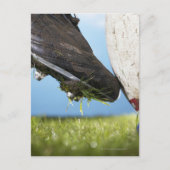 Rugby-speler die t-shirt afschopt, sluit af briefkaart (Voorkant)