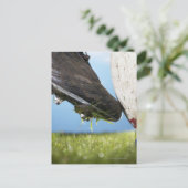 Rugby-speler die t-shirt afschopt, sluit af briefkaart (Staand voorkant)