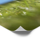 Rugby-speler die t-shirt afschopt, sluit af poster (Hoek)