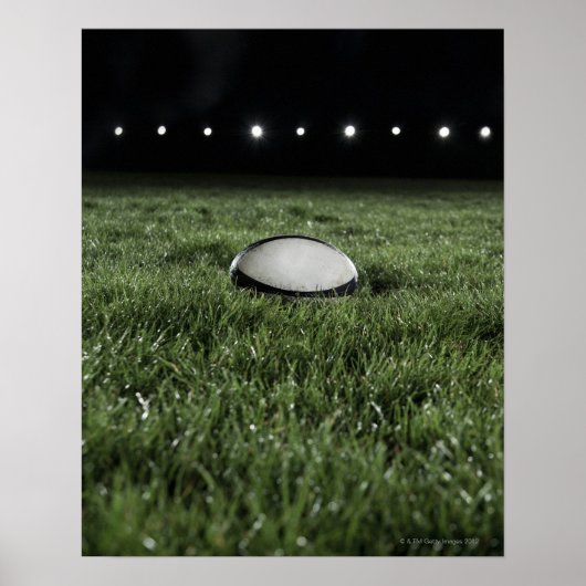 Rugbybal op het grasveld van een poster (Voorkant)