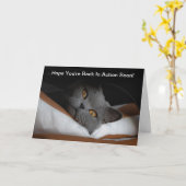 Rugchirurgie Krijgen Binnenkort Grijze Kat Kaart (Gele Bloem)