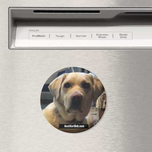 Ruger augustus 2020 magneet (Insitu (Vaatwasser))