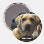 Ruger augustus 2020 magneet (Voorkant / Achterkant)