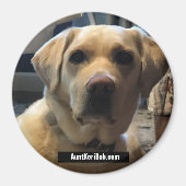 Ruger augustus 2020 magneet (Voorkant)