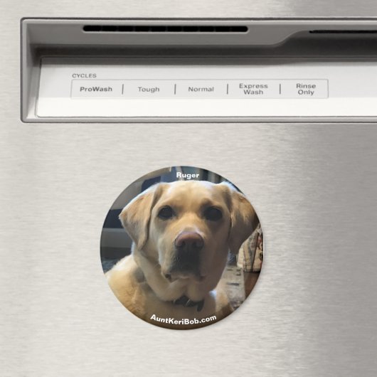 Ruger Magnet (Insitu (Vaatwasser))