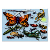 ruggen (Voorkant Horizontaal)