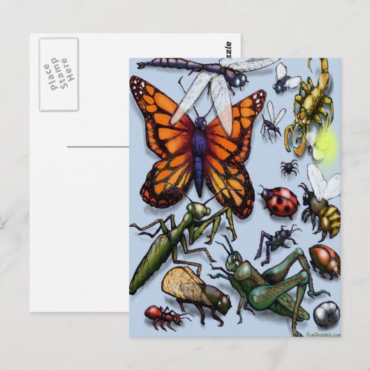 ruggen briefkaart (Voorkant / Achterkant)