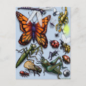 ruggen briefkaart (Voorkant)