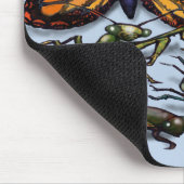 ruggen muismat (Hoek)