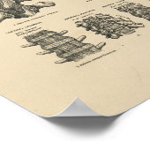  ruggengraat Botten 1880 Afdrukken Poster (Hoek)