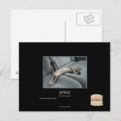 ruggengraat briefkaart (Voorkant / Achterkant)