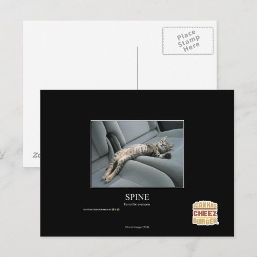 ruggengraat briefkaart (Voorkant / Achterkant)