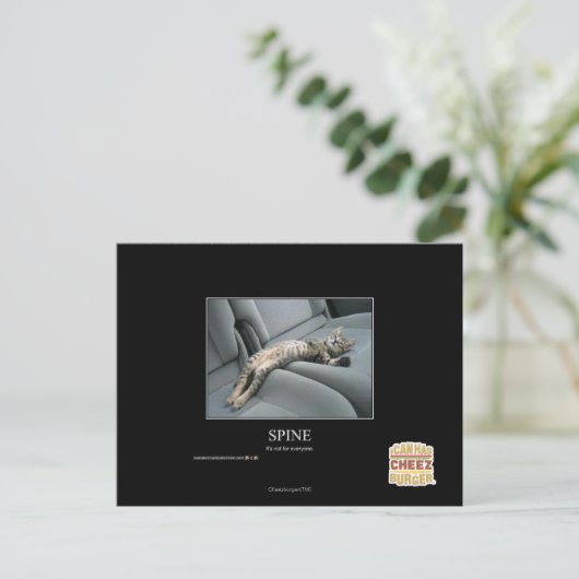 ruggengraat briefkaart (Staand voorkant)