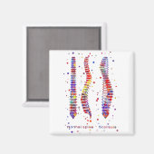 ruggengraat magneet (Voorkant / Achterkant)