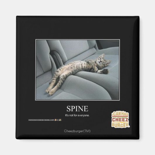 ruggengraat magneet (Voorkant)