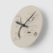 ruggengraat ronde klok (Hoek)