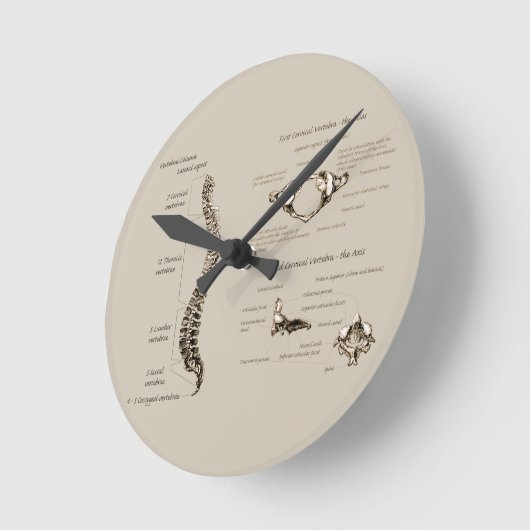 ruggengraat ronde klok (Hoek)