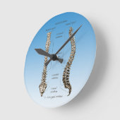 ruggengraat ronde klok (Hoek)