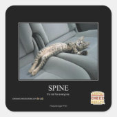 ruggengraat vierkante sticker (Voorkant)