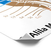 ruggenmerg en dermatoomkaart poster (Hoek)