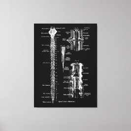 Ruggenmerg Membraan Anatomie Medisch Decor Canvas Afdruk