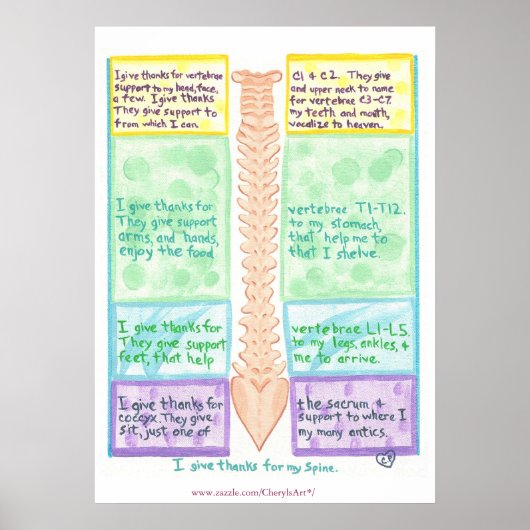 Ruggenposter - Ik ben dankbaar voor wervels Poster (Voorkant)