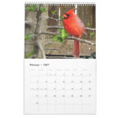 Rugvogelkalender Kalender (Feb 2027)