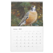 Rugvogelkalender Kalender (Jan 2019)