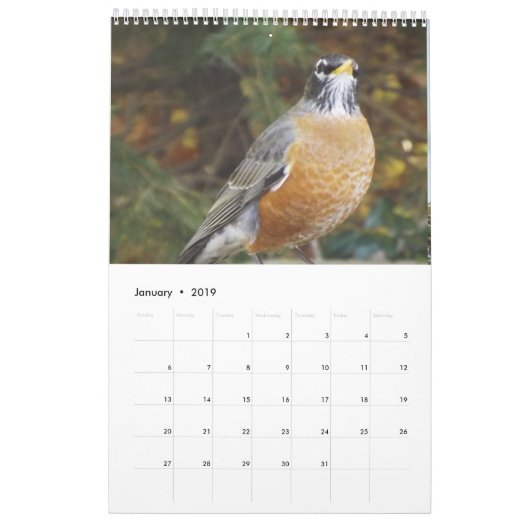 Rugvogelkalender Kalender (Jan 2019)