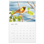 Rugvogelkalender Kalender (Mar 2019)