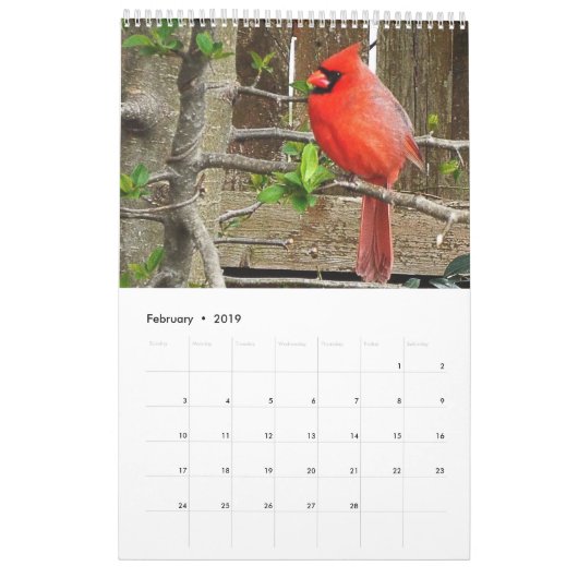 Rugvogelkalender Kalender (Feb 2019)