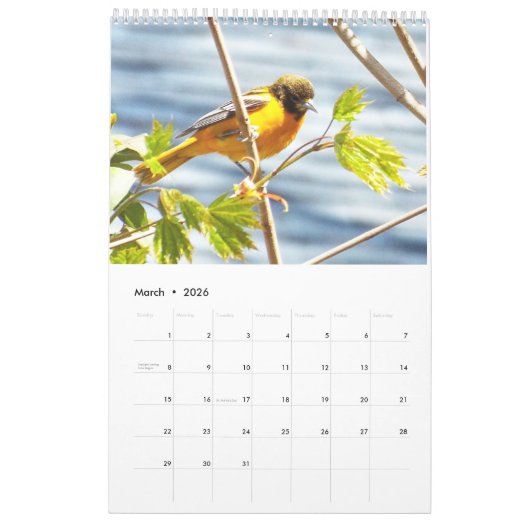 Rugvogelkalender Kalender (Mar 2026)