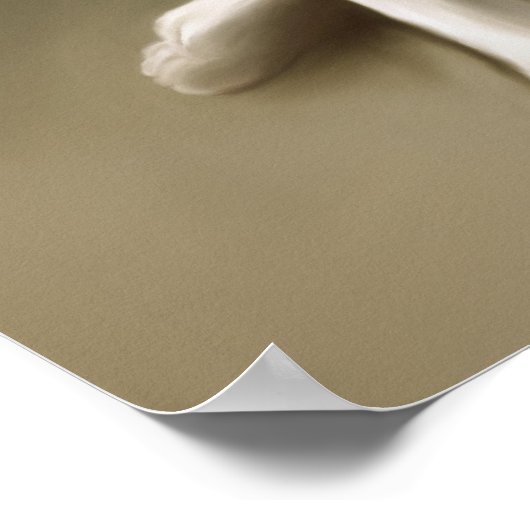 Ruhender Buddha Poster (Hoek)