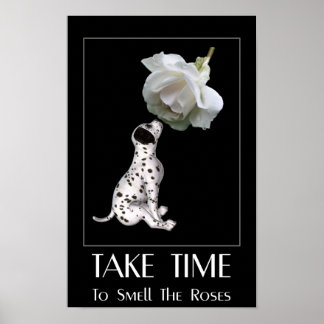 Ruik aan de Rozen Dalmatische Pup Inspirerend Poster