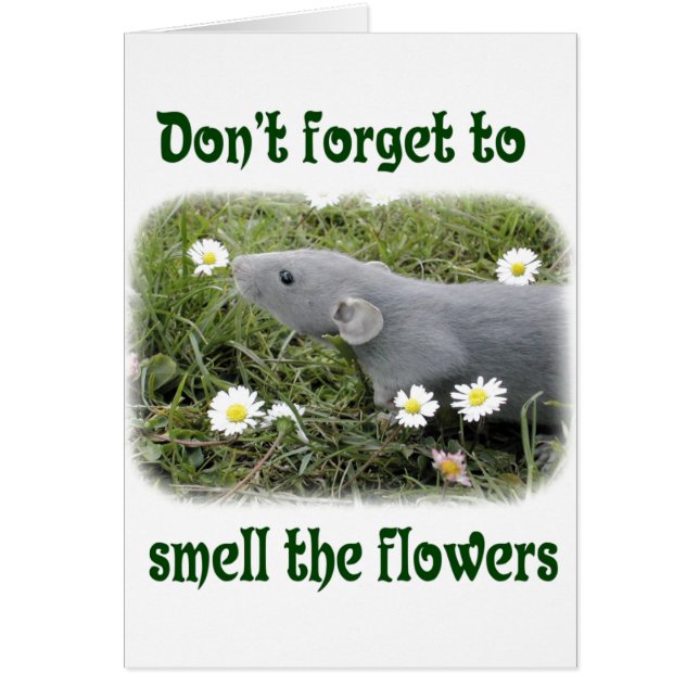 Ruik de bloemen (Voorkant)