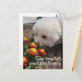 Ruik de Bloemen Briefkaart