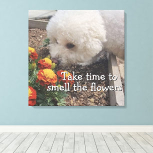 Ruik de Bloemen  Canvas Afdruk