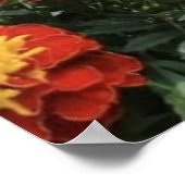 Ruik de Bloemen Poster (Hoek)